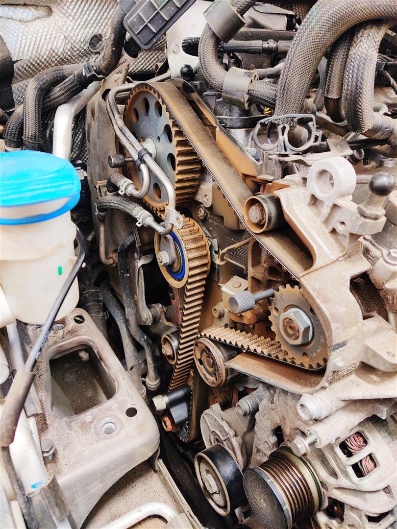 The Importance of Replacing Your Timing Belt and the Vehicle Brands That Still Use Them